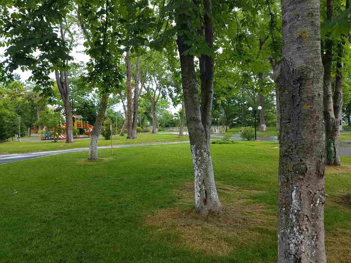 Villa Salena Πριμόρσκο Εξωτερικό φωτογραφία